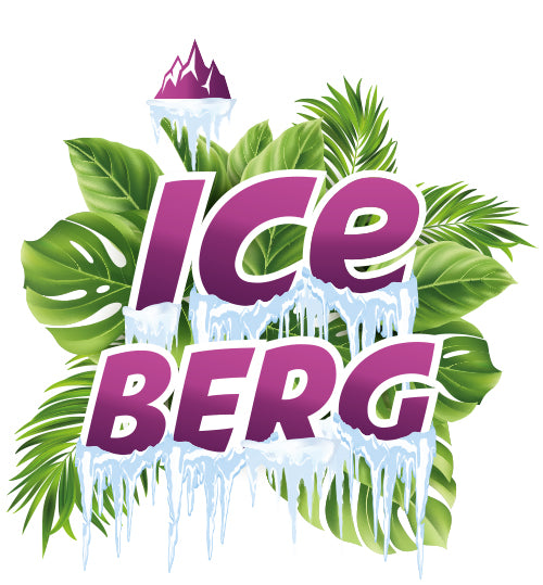 LIQUIDELAB ICEBERG FRAMBOISE SELS DE NICOTINE