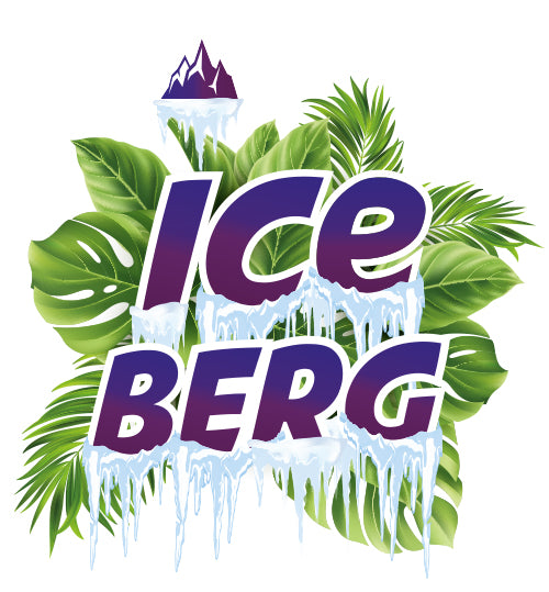 LIQUIDELAB ICEBERG MÛRE MYRTILLE SELS DE NICOTINE