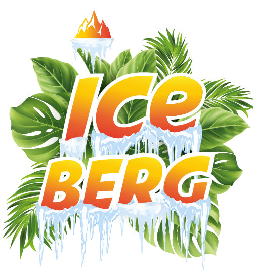 LIQUIDELAB ICEBERG CITRON ORANGE SELS DE NICOTINE
